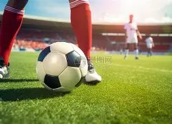 揭秘英超顶,级防线,哈格里夫斯,韦德体育平台,韦德体育官方网站,韦德体育登录入口,韦德体育app下载