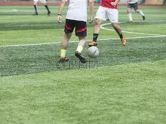 刘若钒梦回,成都路受阻,里卡多与穆,韦德体育平台,韦德体育官方网站,韦德体育登录入口,韦德体育app下载