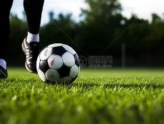 韦德体育,资讯,韦德体育平台,韦德体育平台,韦德体育官方网站,韦德体育登录入口,韦德体育app下载