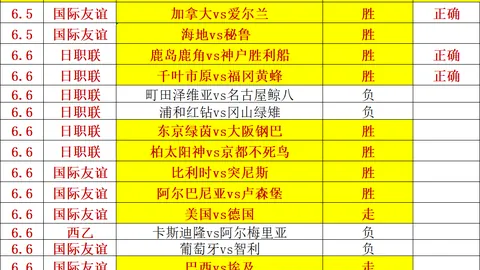 国际友谊赛战绩解析：近6胜5负，王牌赛事数据调整存疑点